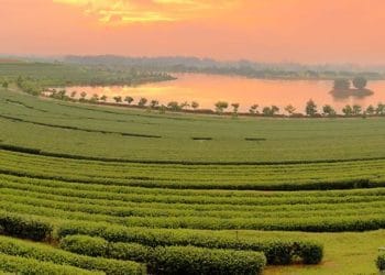 Now experience Guwahati Heritage Walk launched by Assam Tourism