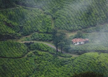 TIME magazine lists Kerala among world’s extraordinary destinations
