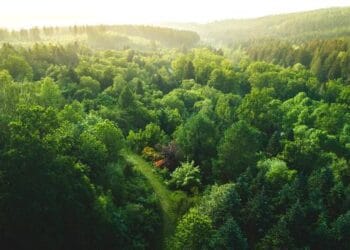 Cathay Pacific Cargo introduces Fly Greener, the carbon-offset programme for air freight