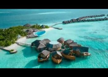 BOTT Weekly Roundup: October 30 to November 5, 2022