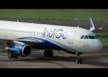 BOTT Weekly Roundup: November 27 to December 3, 2022