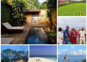 Travel Redefined: Most Sensory Experiences of 2023