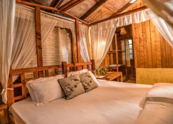 Signum Hotels launches Signum Jamboree Creek Resort in Mandrem, Goa