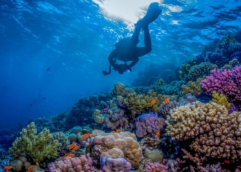 Saudi: A Haven for Thrill Seekers