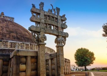 BOTT Weekly Roundup: May 19 – May 25 2024