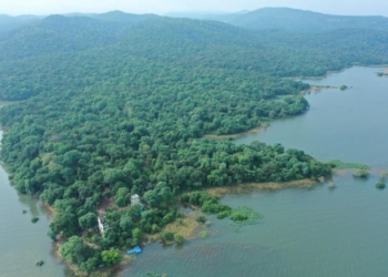 Discover Rajhans Island: Odisha’s hidden gem