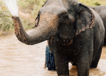 5 Reasons to Holiday in Krabi before Thai Visa resumes