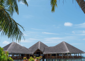 World on your plate: 9 must try Culinary experiences this festive season