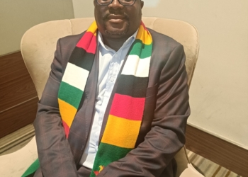 Tourism Industry of Zimbabwe & BRANDit showcases a World of Wonders to Indian travel trade