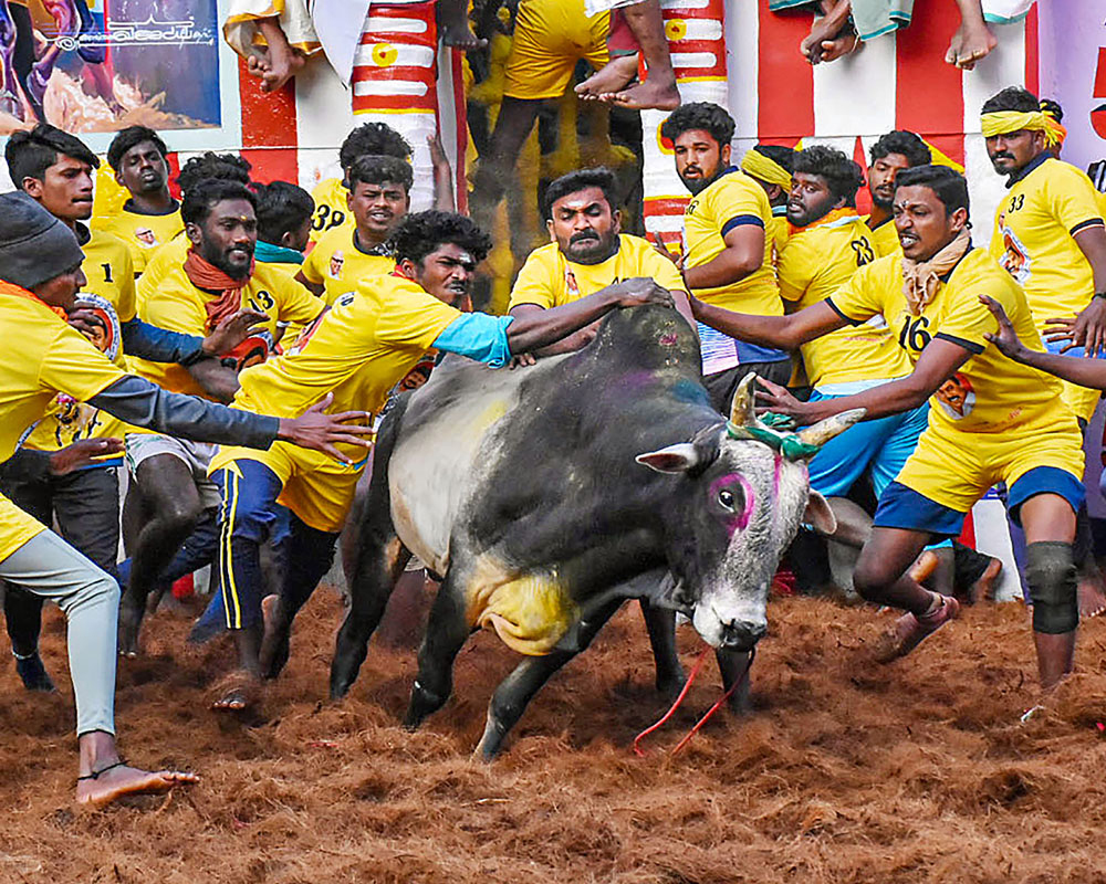 Travel News l Tourism News India | Travel Trade Magazine