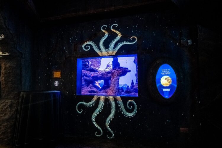 Atlantis Dubai opens the Lost World Aquarium