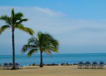 FTCCI, TT, NITHM join hands to host India’s first conference on “Building the Weekend Tourism Economy”