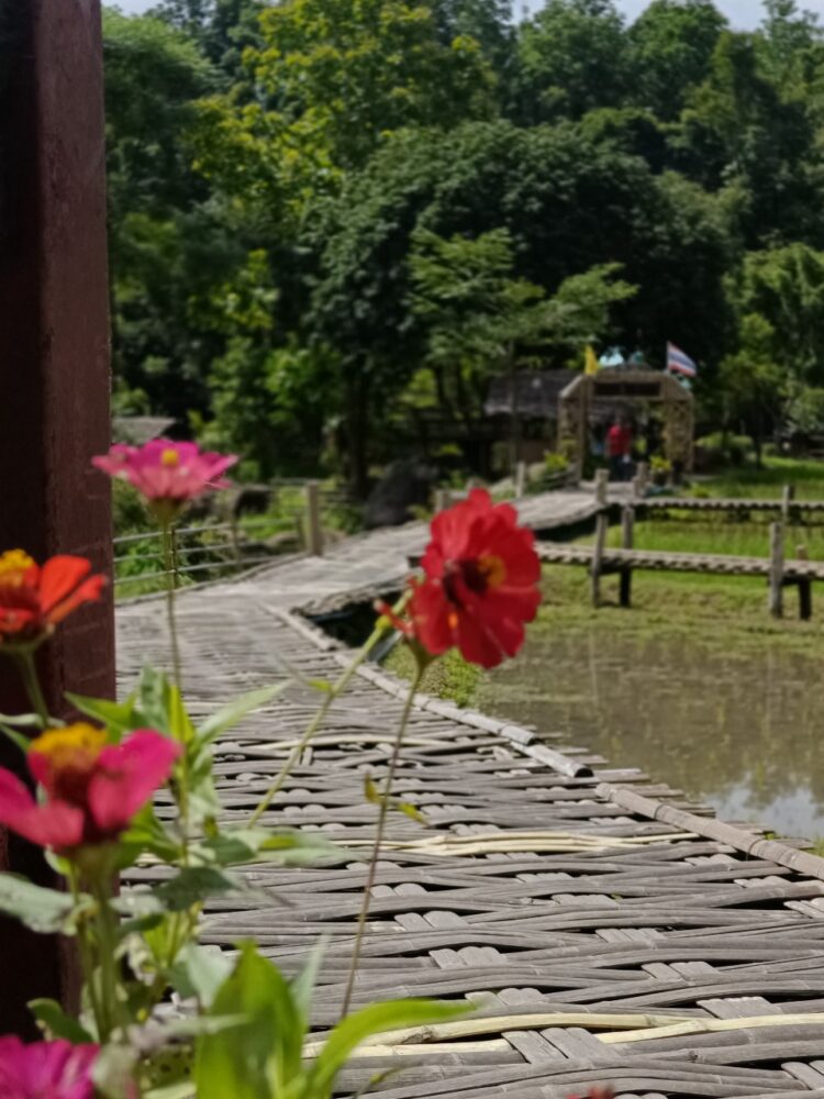 Charming Chiang Mai: Thailand’s Soul in the Hills