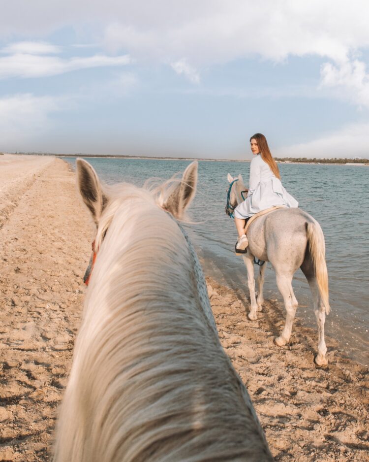 Beyond the dunes: Adventure and luxury await in Bahrain for Indian travellers