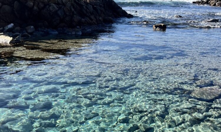 Between sea, sky and smiles: A Western Australia tale