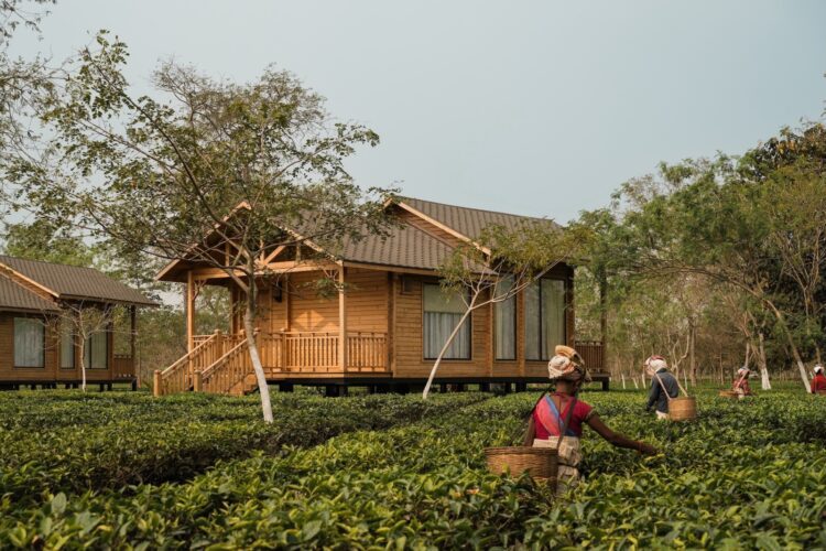 The Postcard in the Durrung Tea Estate, Assam – honoured as ‘Hotel of the Year 2025’