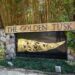 The Golden Tusk unveils Christmas Weekend & New Year Carnival 2025