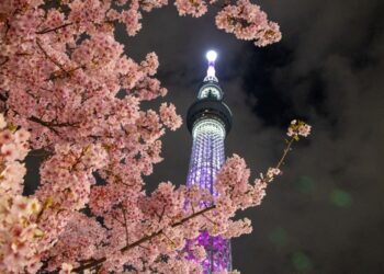A scenic walk from Asakusa to TOKYO SKYTREE