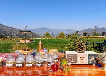 The Chamomile Estate, Guniyalekh introduces Tea Tasting Experience