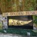 The Golden Tusk unveils all-inclusive summer retreat