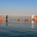 Discover Dead Sea: A timeless destination for wellness, culture, and discovery