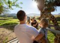 Greater Palm Springs: The ultimate playground for families