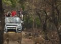 Opulent Oasis Hospitality debuts with Gir retreat ‘Wild Calm’