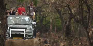 Opulent Oasis Hospitality debuts with Gir retreat ‘Wild Calm’