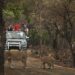 Opulent Oasis Hospitality debuts with Gir retreat ‘Wild Calm’