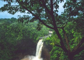 Top 6 monsoon getaways in Maharashtra