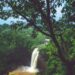 Top 6 monsoon getaways in Maharashtra