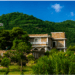 Kutani Bagh Sariska strengthens its position as a leading Wildlife Retreat in Rajasthan