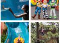 Discover what’s new in Kissimmee in Summer 2026