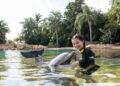 Explore Kissimmee’s ultimate water park experiences