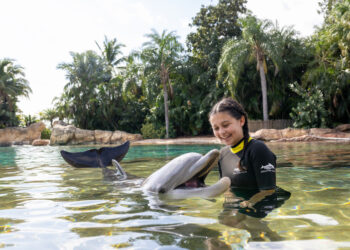 Explore Kissimmee’s ultimate water park experiences