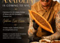 Radisson Blu Plaza Delhi Airport presents the Anatolian Cuisine Festival at NYC