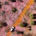 Early blooms signal promising 2026 wildflower season on Australia’s Coral Coast