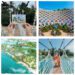 India remains Sentosa’s largest international source market