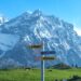 ATOAI calls for urgent regulation of high-volume trekking