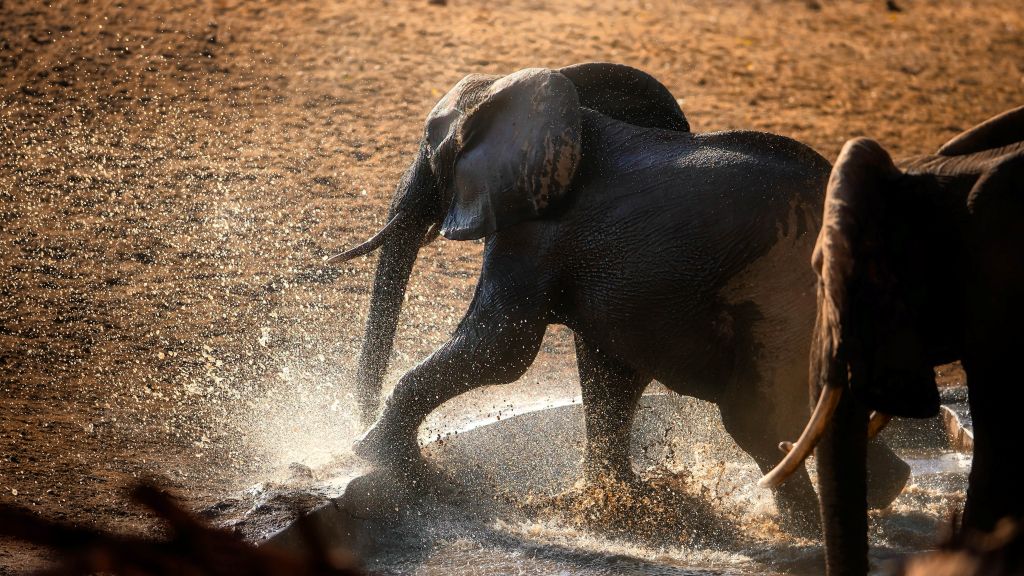 Tanzania’s Tarangire Sopa Lodge introduces night game drives to offer guests a new perspective of the wild