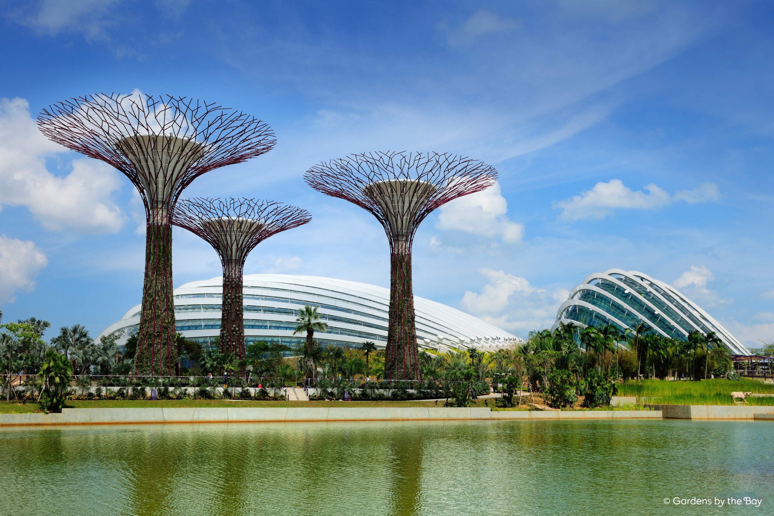 Gardens by the Bay Singapore: Where clouds dance and flowers bloom