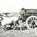 The Air India flight that was refuelled from a bullock cart