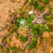 Tanzania’s Tarangire Sopa Lodge introduces night game drives to offer guests a new perspective of the wild