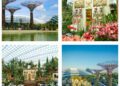 Gardens by the Bay Singapore: Where clouds dance and flowers bloom