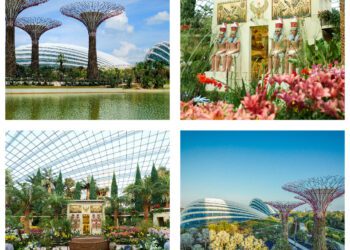 Gardens by the Bay Singapore: Where clouds dance and flowers bloom