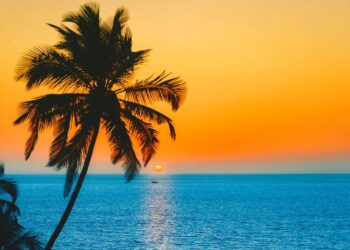 Goa gears up for festive tourism rush as Dussehra and Diwali holidays approach