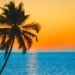 Goa gears up for festive tourism rush as Dussehra and Diwali holidays approach
