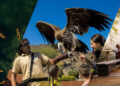 How Sharjah is building a stronger eco-tourism story