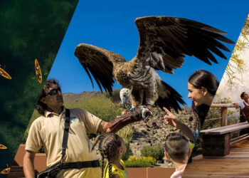 How Sharjah is building a stronger eco-tourism story