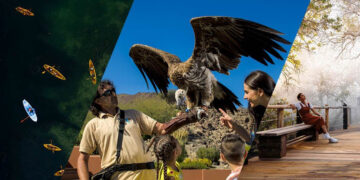 How Sharjah is building a stronger eco-tourism story